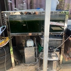 大型ガラス水槽 その他の中古が安い！激安で譲ります・無料であげます  