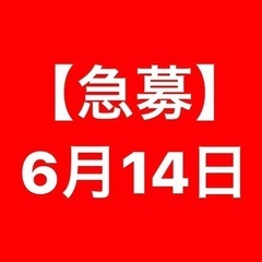 【急募】6月14日 トリートメント無料