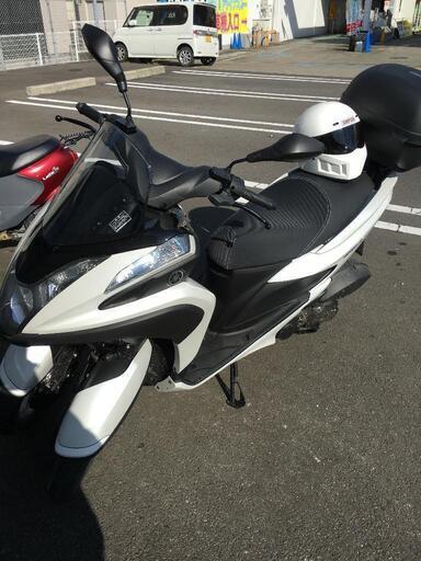 引き取り手決定