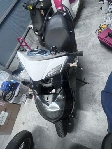 シグナス2型