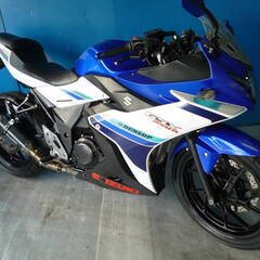 SUZUKI GSX250R 白/青 エンジン始動動画 自賠責保...