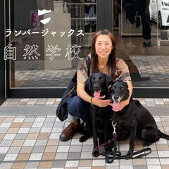 【中止】参加者募集　神戸市元町高架下で、ドッグスクール「街でイヌ...