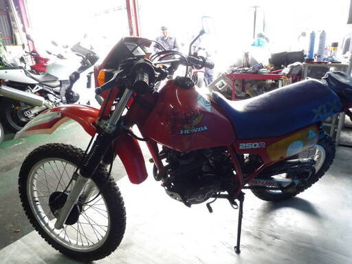 HONDA XLX250R 赤 格安提供車 半額配送キャンペーン クランキング確認