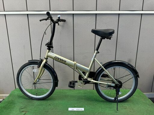 Canoro　51904