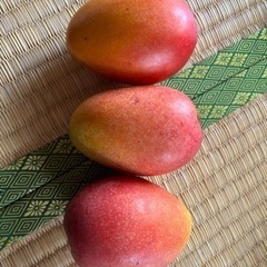 【最終値下げ‼︎】採れたてマンゴー！