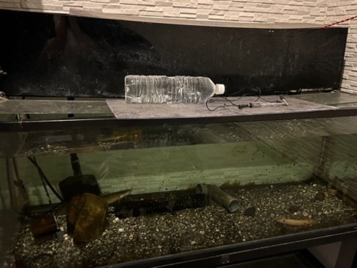 三点セット‼️1200規格水槽➕上部濾過『炉剤なし』リオ2100ポンプセット