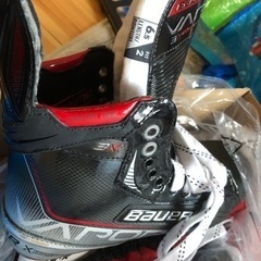 スポーツ  アイスホッケー