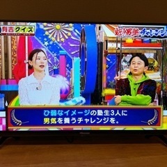 32型 テレビ　2024年4月発売モデル 32型 テレビ 2024年4月発売モデル