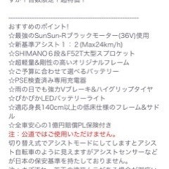 電動自転車、ひねちゃ、モピッド
