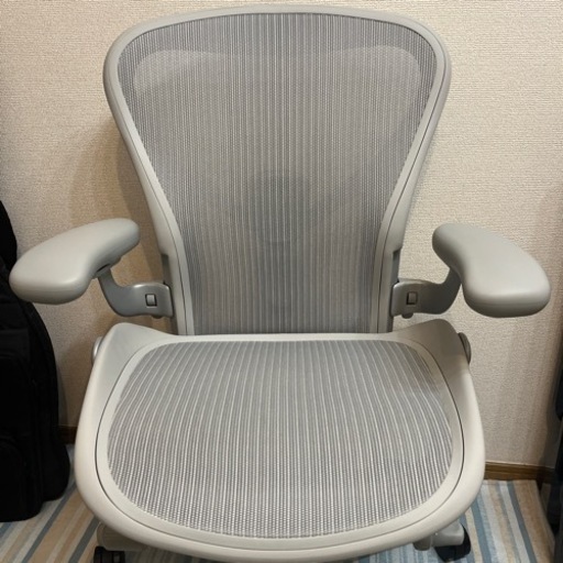 アーロンチェアリマスタード Bサイズ
