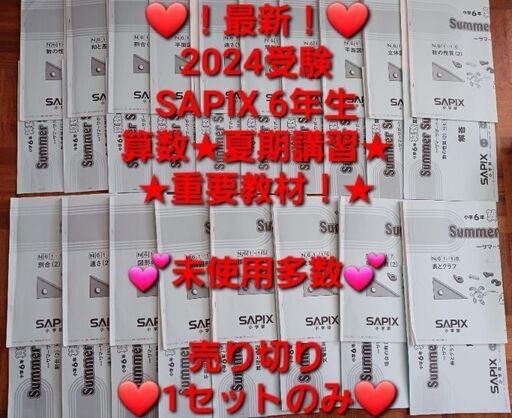 【★最新★2024受験】【未使用多数】Sapix6年2023年度版 算数夏期講習