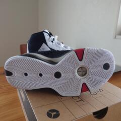 未使用品 エアジョーダン  