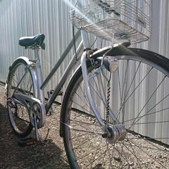 サイモト Mollis一般車