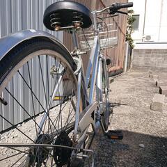 サイモト Mollis一般車