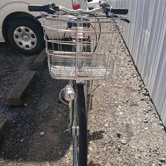 サイモト Mollis一般車