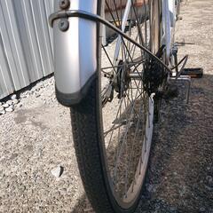 サイモト Mollis一般車