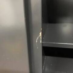 🔷🔶🔷WY12/94 サラインテリア 6人用 パーソナルロッカー 2列 3段 天板付き 鍵付き 中古品 オフィス ジム 事務 ★直接引き取り歓迎 ※在庫5🔷🔶🔷