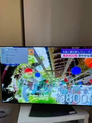家電 テレビ 液晶テレビ