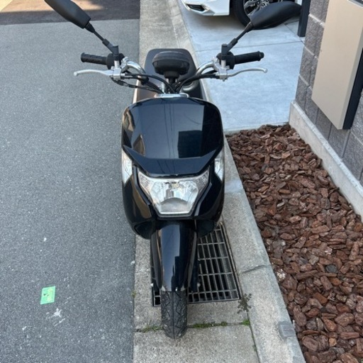 \nホンダ　ダンク