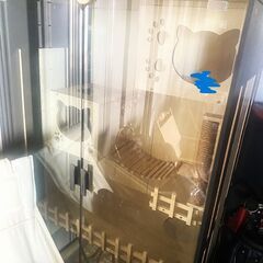 猫のお家 木製 猫のケージ ガラス 直接引取り限定