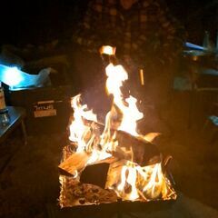 広葉樹薪(クヌギ・樫・欅・桜等)