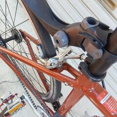 2007年スペシャライズド ラングスター 固定ギアピスト