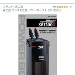 水槽生体全てセット！！値下げしましたー！
