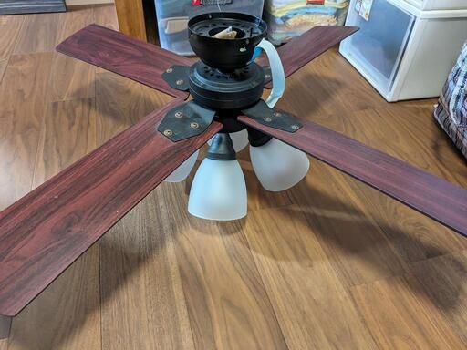 シーリングファンライト   扇風機