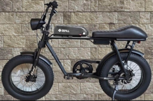 免許不要　電動アシスト　自転車