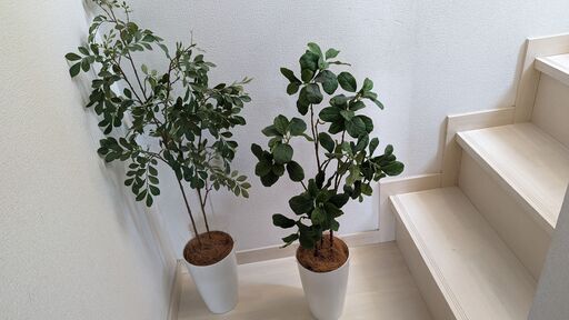 観葉植物フェイクグリーン2つ