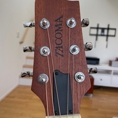 ! 【希少プレミアム】Tacoma アコースティックギター　美品