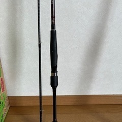 セフィアSS S806M(決まりました)