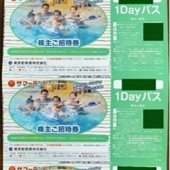 【超お得❗️】東京サマーランドチケット3枚 夏休み期間も利用可能