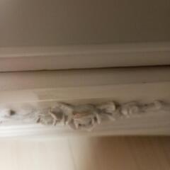 クラッシックで、エレガントなテレビ台