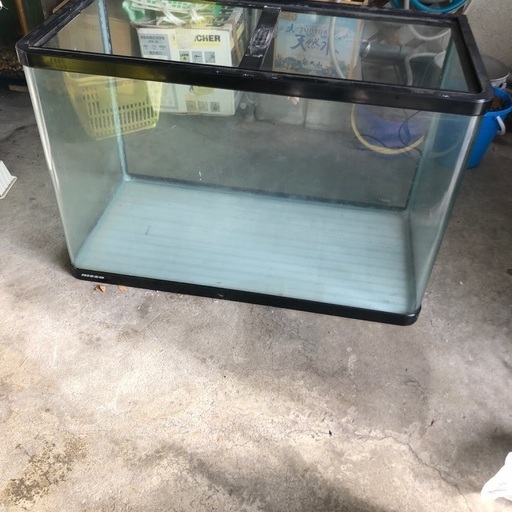 熱帯魚、鑑賞魚ガラス水槽+エーハイム
