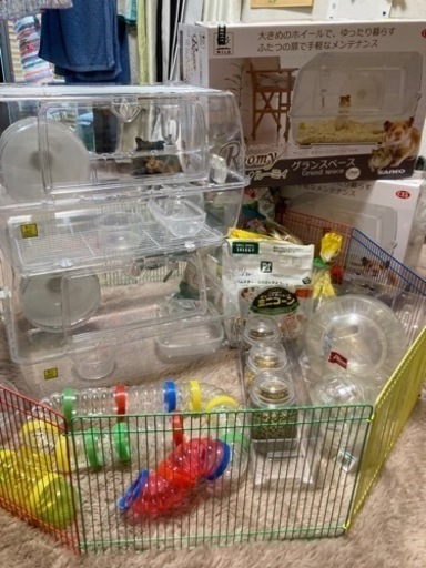 ハムスター、小動物飼育セット