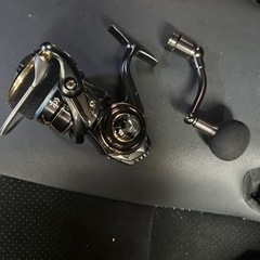 最終値下げ タマンモンスター10号 カルディアsw10000H 赤ピトンセット