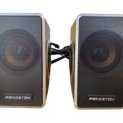 ★PRINCETON スピーカー PSP-DPRS