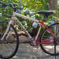 引取限定★Corratec SHAPE WAVE 3 コラテックシェープウェーブ３★美品