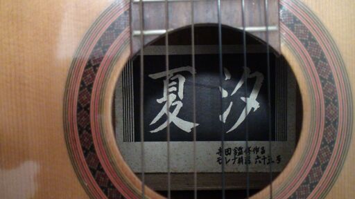 SX DG-LTD2 CUSTOM GUITARS 社外ソフトケース付属・音出し確認済