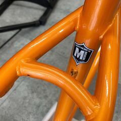 TRANSITION 「トランジション」 TRANSAM 2009年モデル フレーム / 福岡