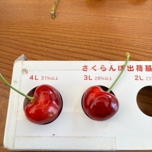 (商談中)山形の新品種山形紅王、贈答品