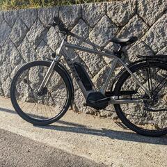 TREK VERVE+2電動クロスバイク E-BIKE