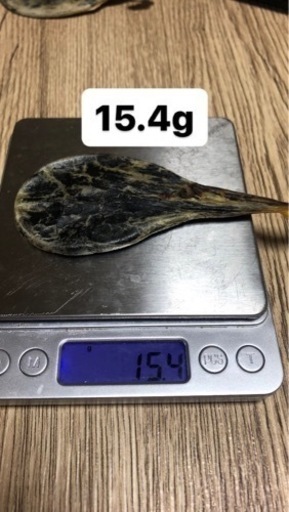 熊の胆