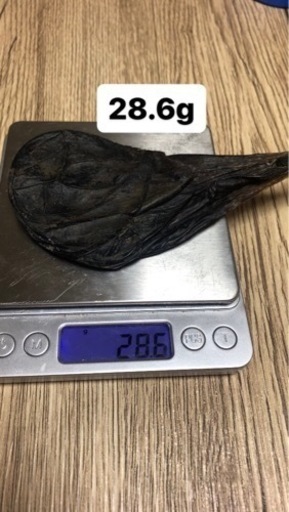熊の胆