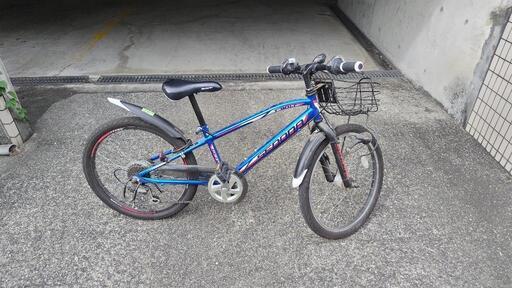 SEDONA　自転車