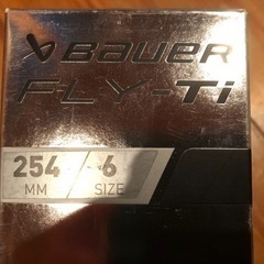 スポーツ  アイスホッケー