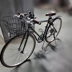 cavite(キャビテ)　カラー:フォレスト