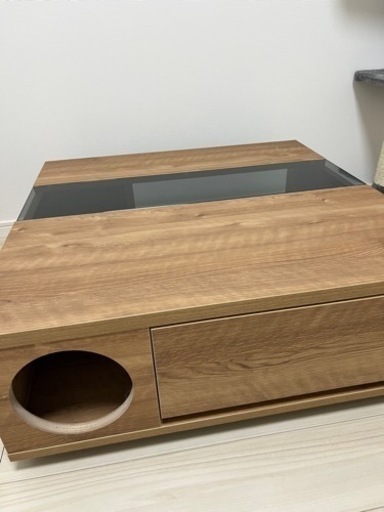 テーブル　センターセーブル　ローテーブル　木製　猫　猫と暮らす家具