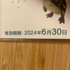 江ノ島水族館　チケット
